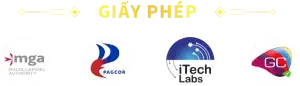 Giấy phép mig8