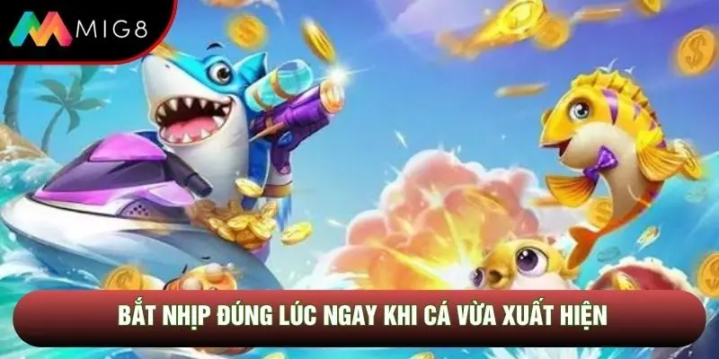 Bắt nhịp đúng lúc ngay khi cá vừa xuất hiện