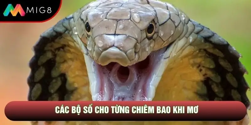 Các bộ số cho từng chiêm bao khi mơ