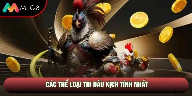 Các thể loại thi đấu kịch tính nhất Các thể loại thi đấu kịch tính nhất