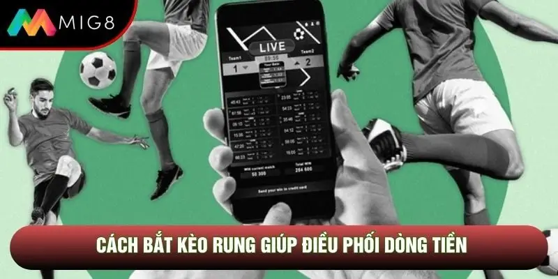 Cách bắt kèo rung giúp điều phối dòng tiền
