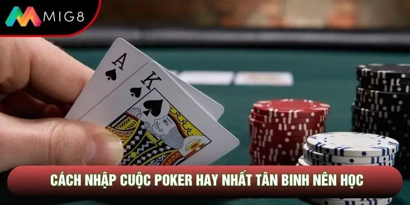 Cách nhập cuộc poker hay nhất tân binh nên học Cách nhập cuộc poker hay nhất tân binh nên học