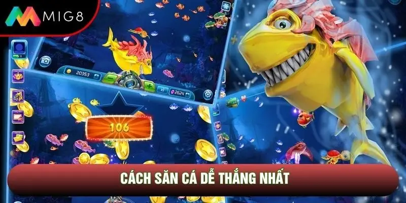 Cách săn cá dễ thắng nhất