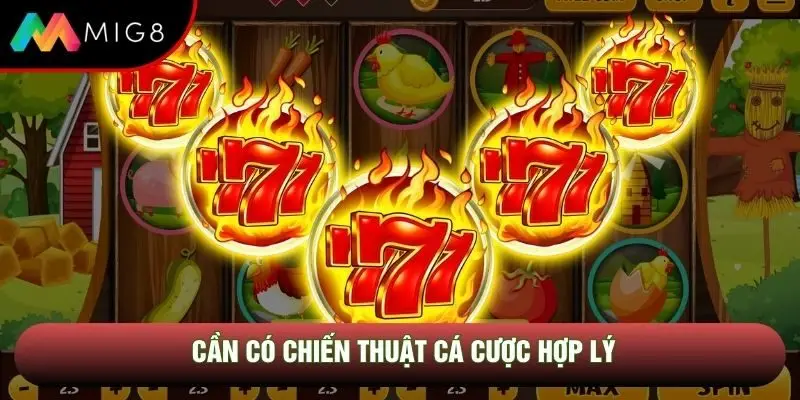 Cần có chiến thuật cá cược hợp lý Cần có chiến thuật cá cược hợp lý