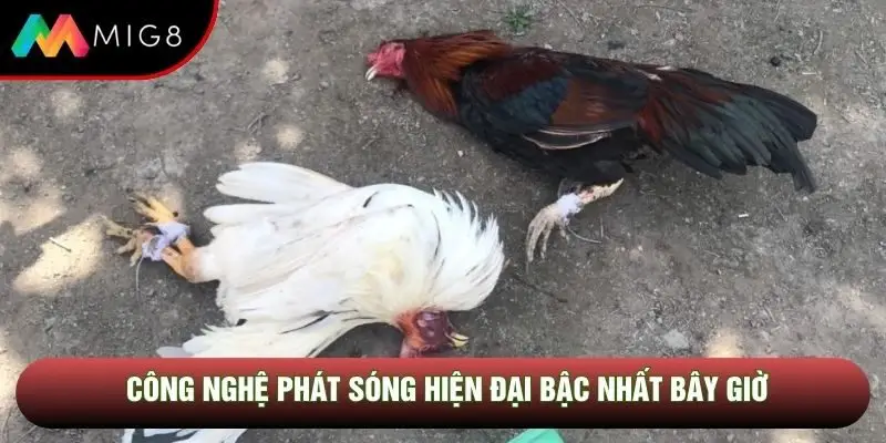 Công nghệ phát sóng hiện đại bậc nhất bây giờ