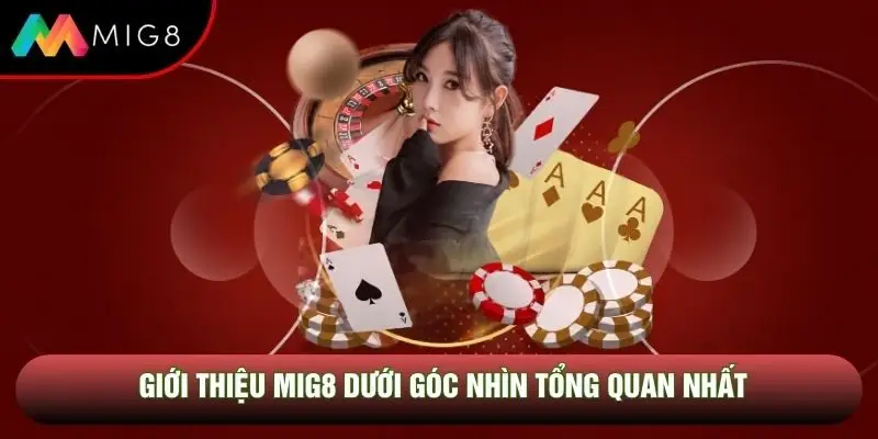 Giới thiệu Mig8 dưới góc nhìn tổng quan nhất