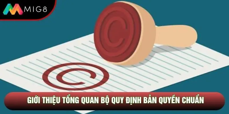 Giới thiệu tổng quan bộ quy định bản quyền chuẩn