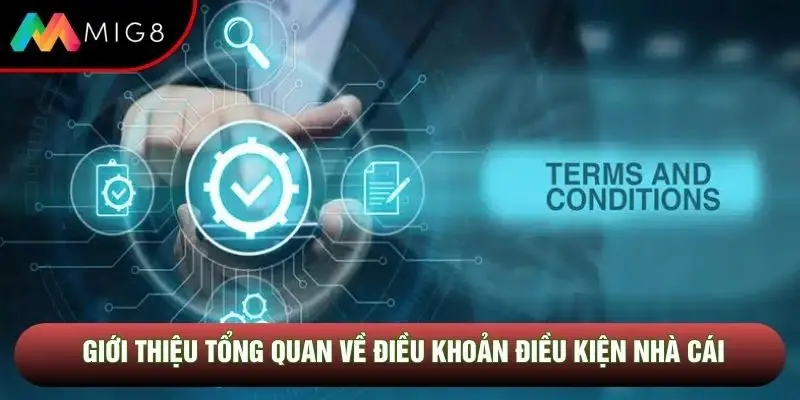 Giới thiệu tổng quan về điều khoản điều kiện nhà cái