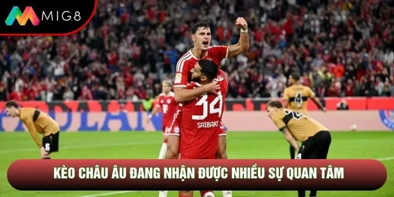 Kèo châu Âu đang nhận được nhiều sự quan tâm