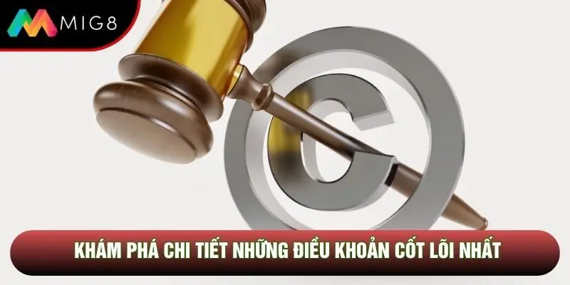 Khám phá chi tiết những điều khoản cốt lõi nhất