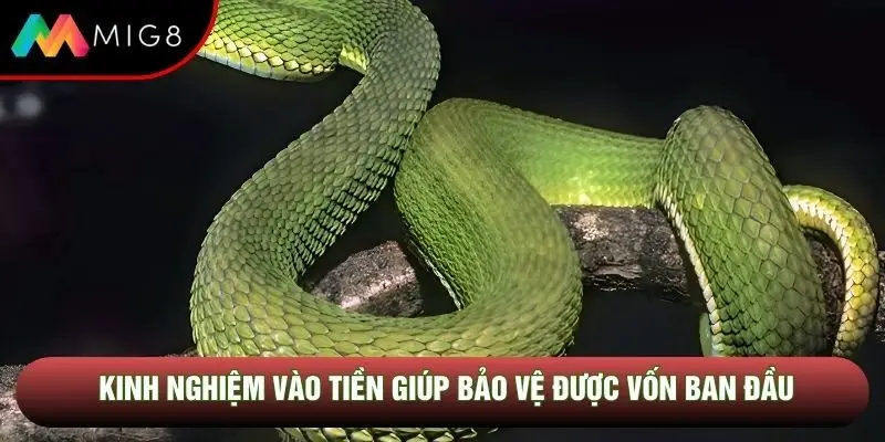 Kinh nghiệm vào tiền giúp bảo vệ được vốn ban đầu