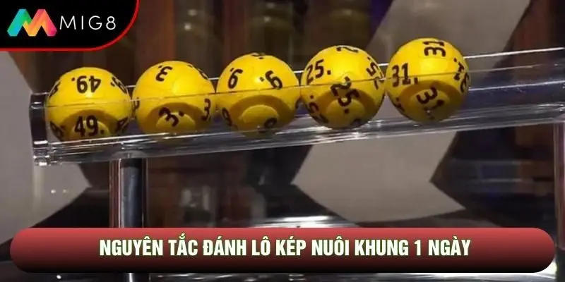 Nguyên tắc đánh lô kép nuôi khung 1 ngày