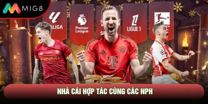 Nhà cái hợp tác cùng các NPH Nhà cái hợp tác cùng các NPH
