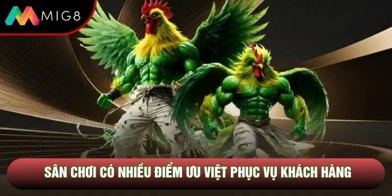 Sân chơi có nhiều điểm ưu việt phục vụ khách hàng Sân chơi có nhiều điểm ưu việt phục vụ khách hàng