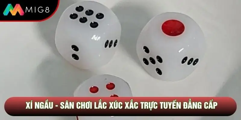 Xí Ngầu - Sân Chơi Lắc Xúc Xắc Trực Tuyến Đẳng Cấp